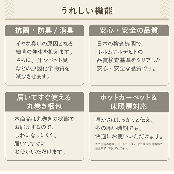 トルコ製ウィルトン織デザインラグ worusa ウォルサ 商品追加画像11