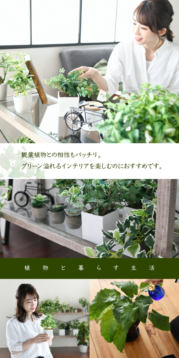 Old Wood Series ガラスラック(幅90cm) FAW-0001 商品説明画像3