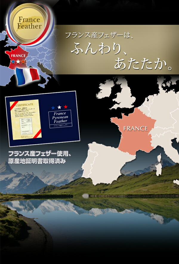 フランス産フェザー羽根掛布団 商品説明画像4