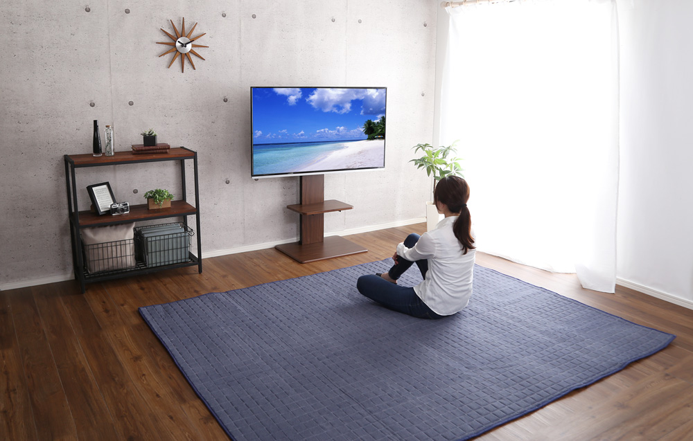 壁寄せテレビスタンド ロー固定タイプ Fenes フェネス 商品追加画像28