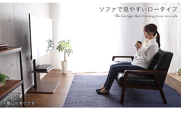 壁寄せテレビスタンド ロースイングタイプ Fenes フェネス 商品説明画像2