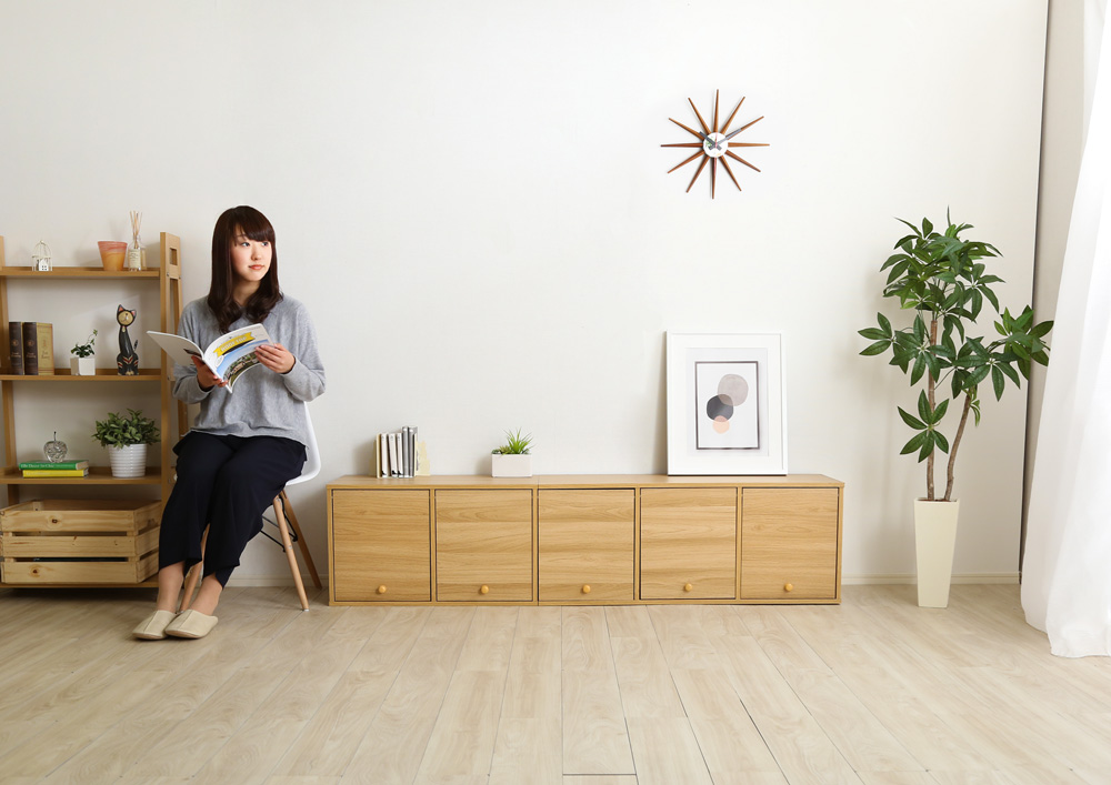マルチカラーボックス5D NEST. 5ドアタイプ 商品追加画像25