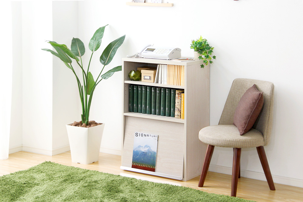 収納家具 DEALS ディールズ フラップチェスト（扉1枚タイプ） 商品追加画像5