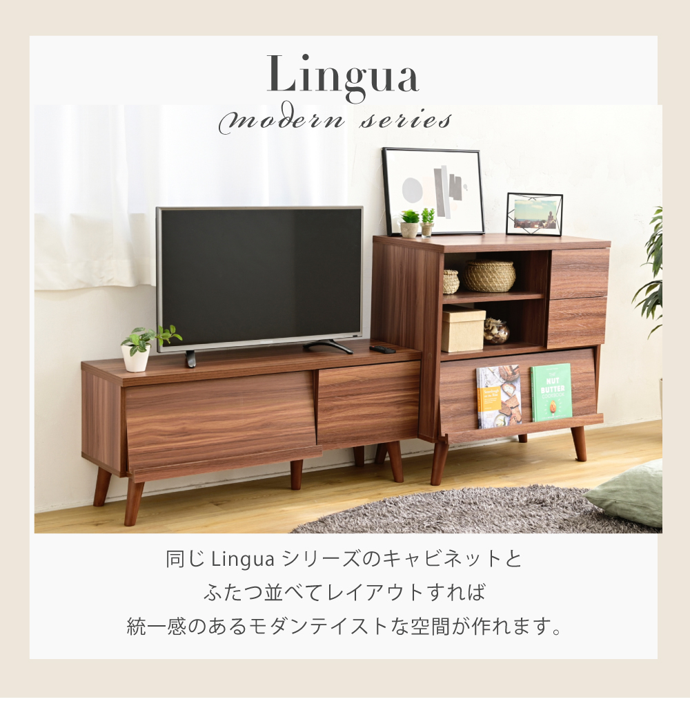コンパクト モダン テレビ台 Lingua 商品説明画像9