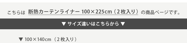 fMJ[eCi[ 100~225cm 2 SH-25-DNT225 摜15