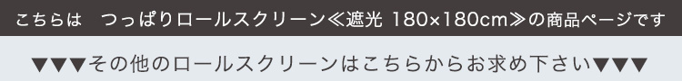 ς胍[XN[ 180cmiՌ^Cvj SH-16-S180 摜17