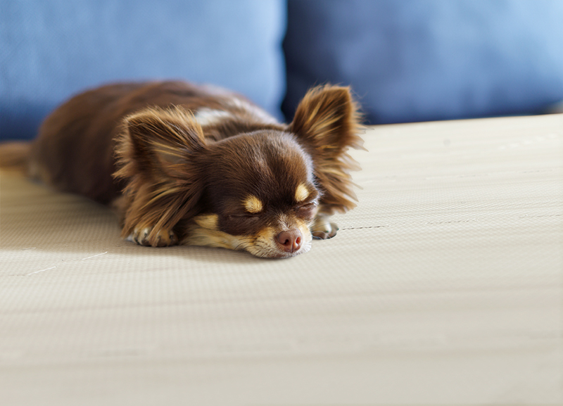 厚みも選べる ジョイントクッションマット いろ・いろフィットシリーズ グレイッシュカラー 尺五 追加画像44